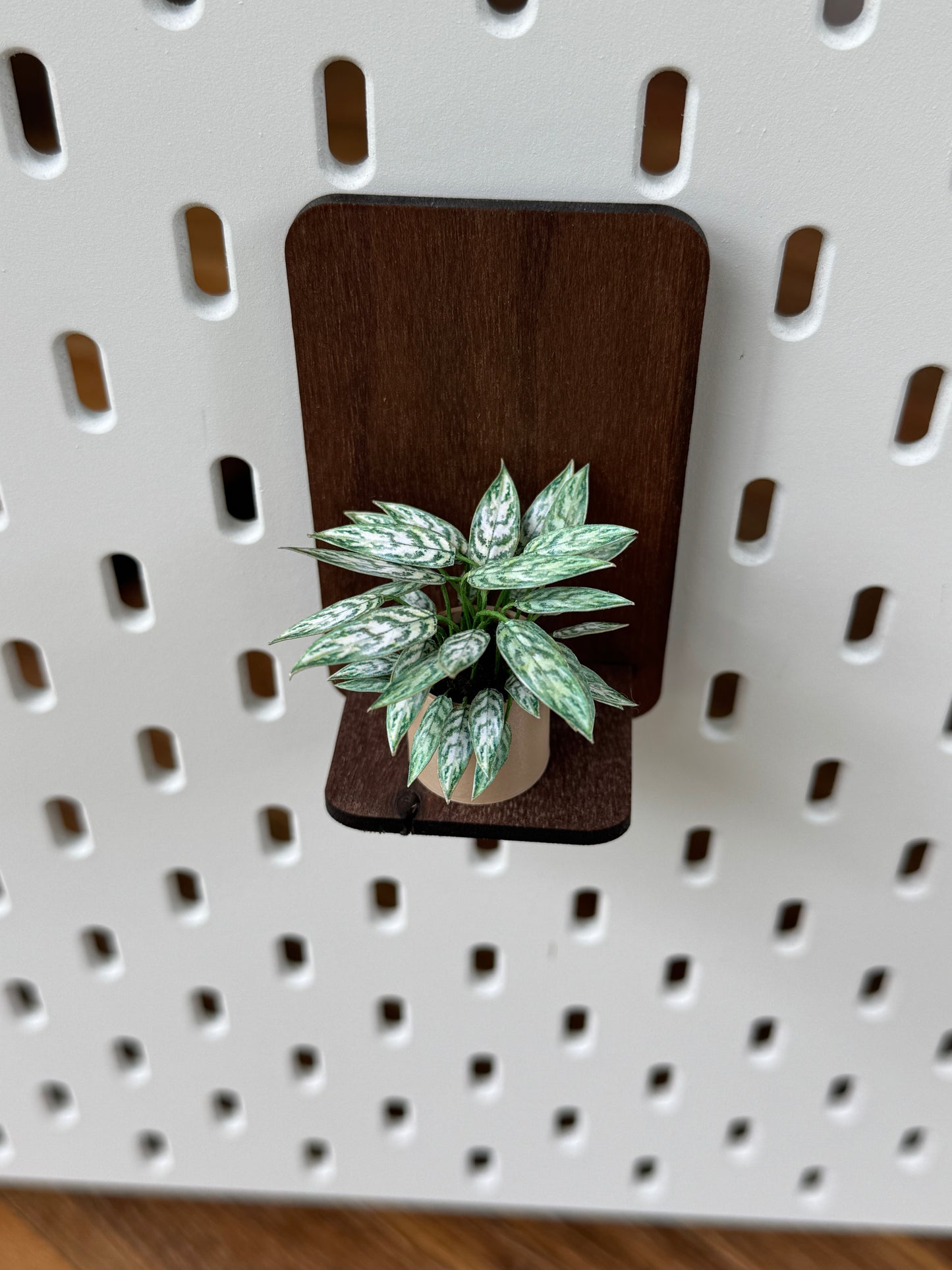 Aglaonema Miniature Plant — Dollhouse Botanical with Optional Shelf
