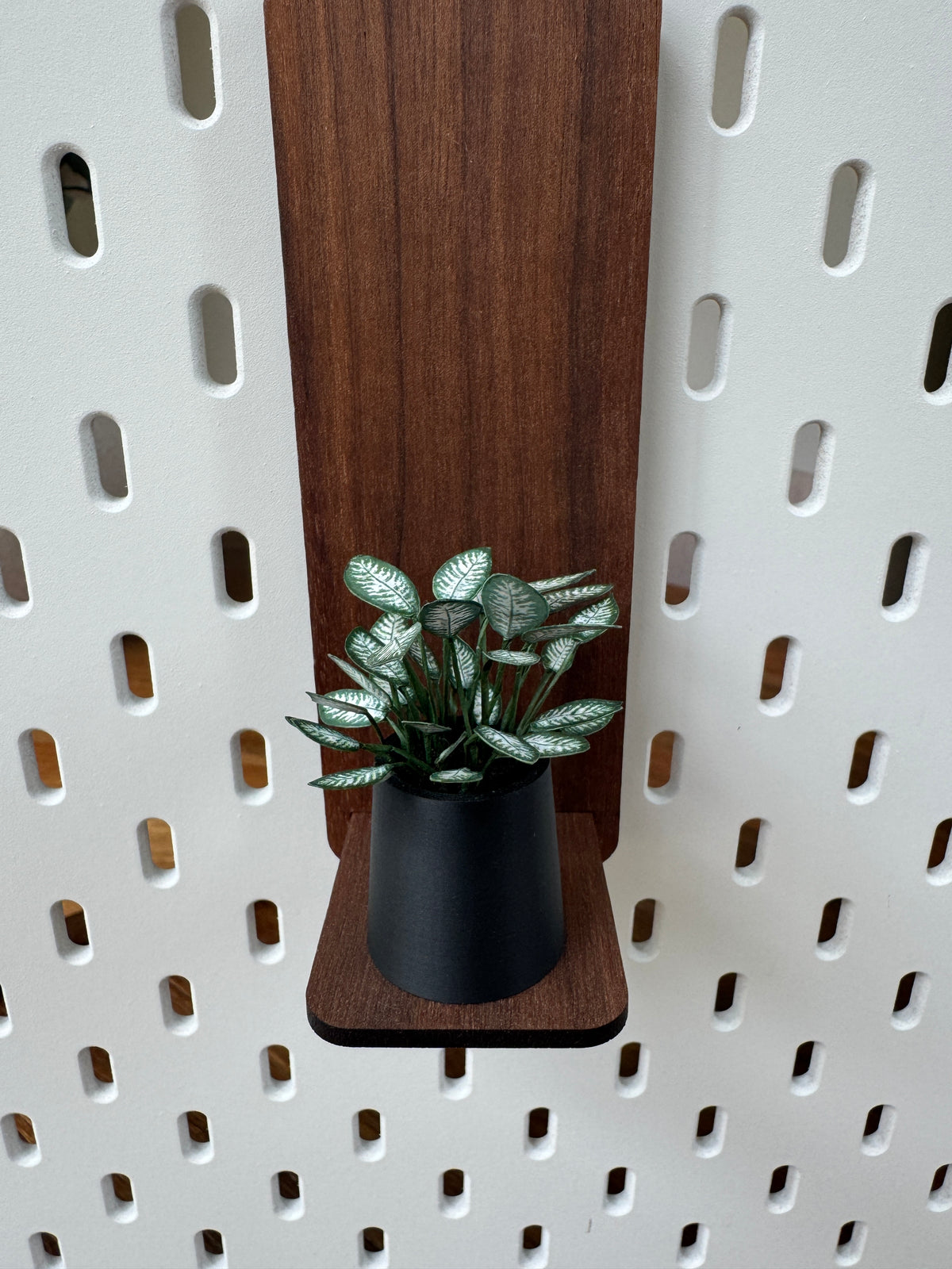 Dieffenbachia miniature plant, dollhouse botanical with optional tall shelf