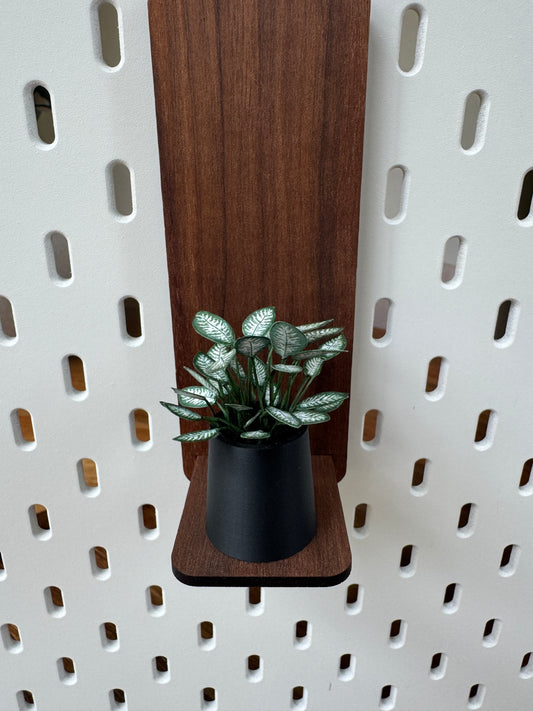 Dieffenbachia miniature plant, dollhouse botanical with optional tall shelf