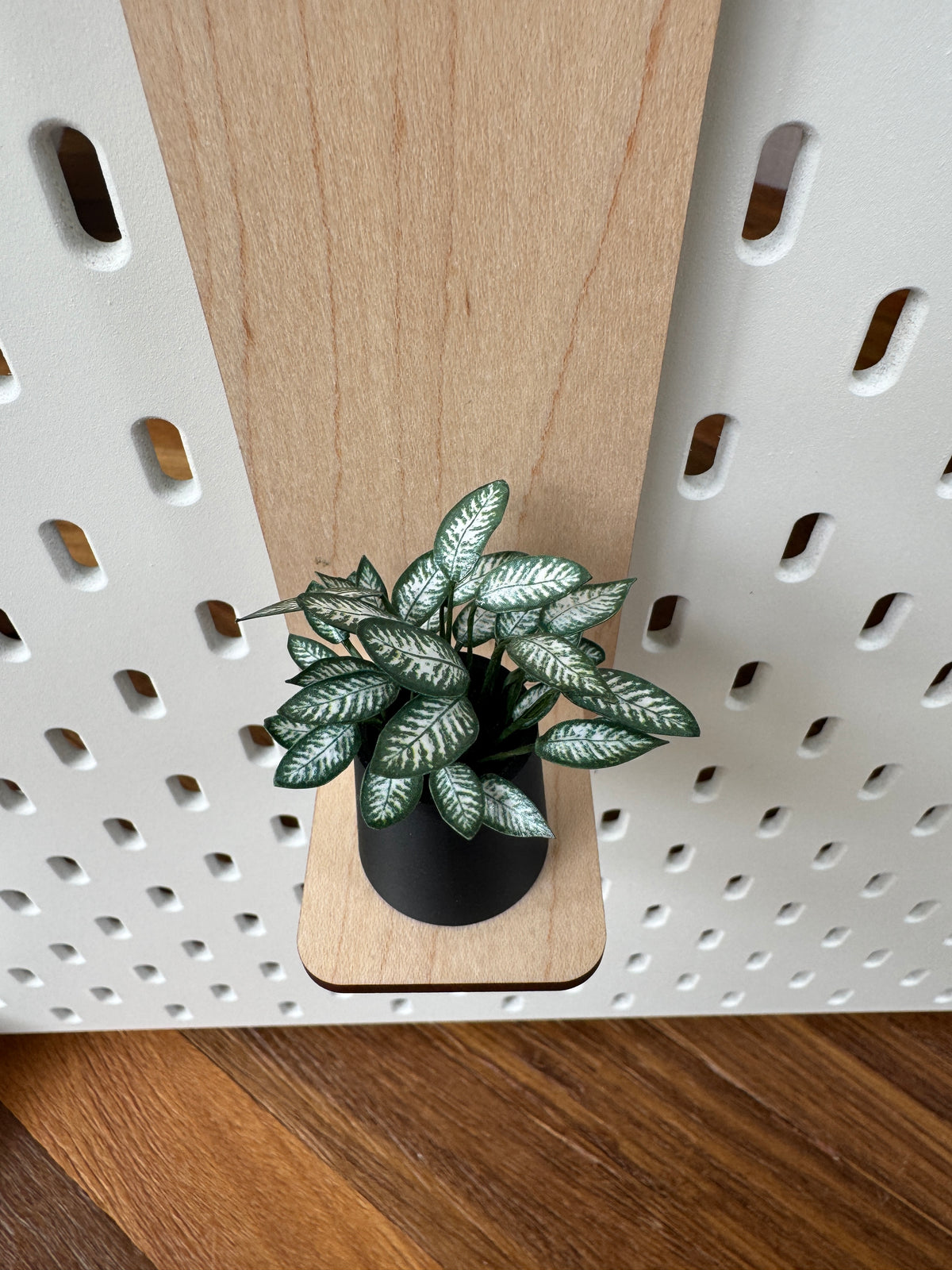 Dieffenbachia miniature plant, close-up detail, dollhouse botanical