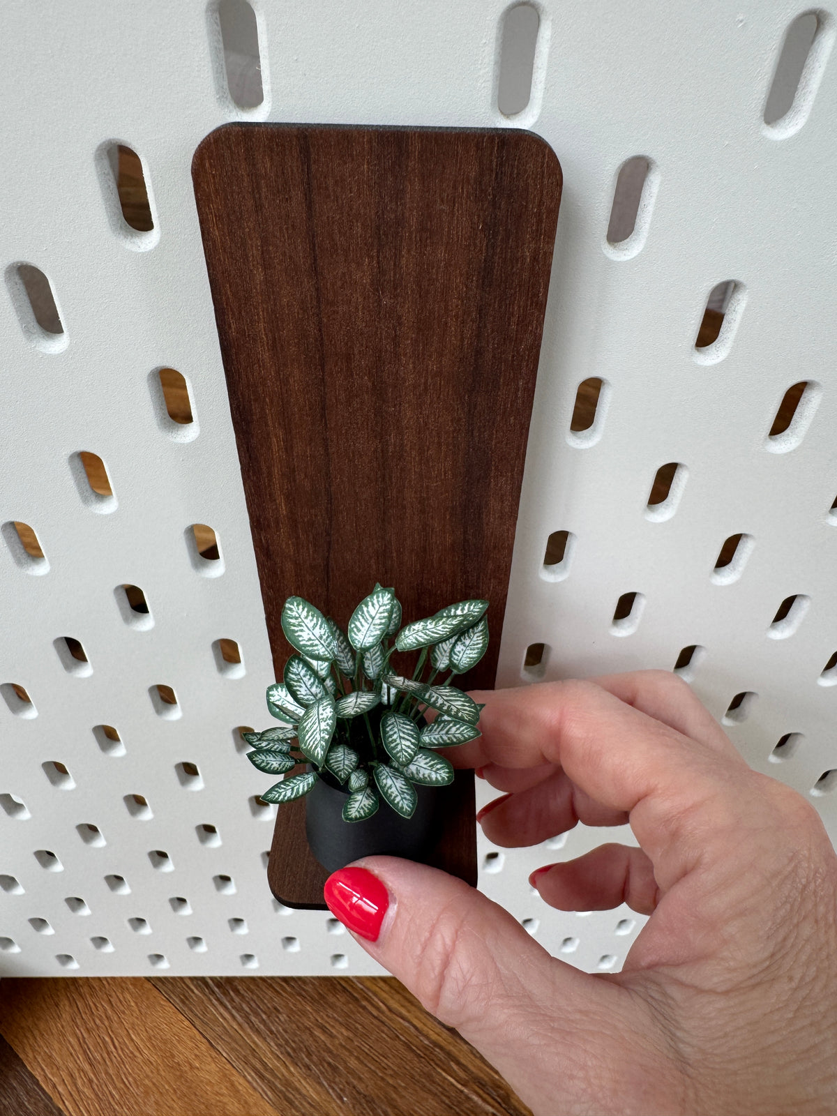 Dieffenbachia Miniature Plant — Dollhouse Botanical with Optional Tall Shelf
