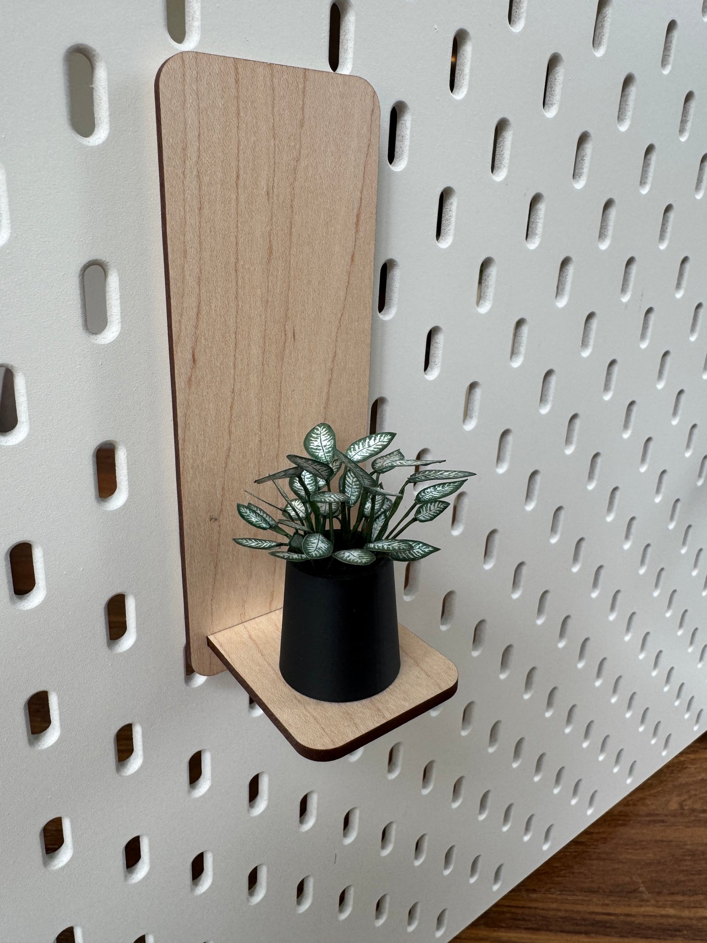 Dieffenbachia Miniature Plant — Dollhouse Botanical with Optional Tall Shelf