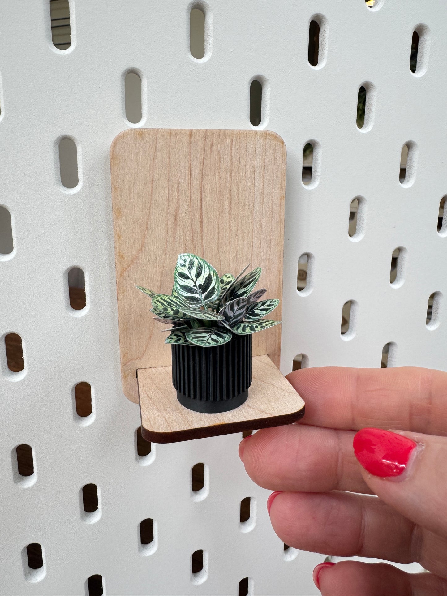 Calathea Miniature Plant – 1:12 Scale Dollhouse Botanical