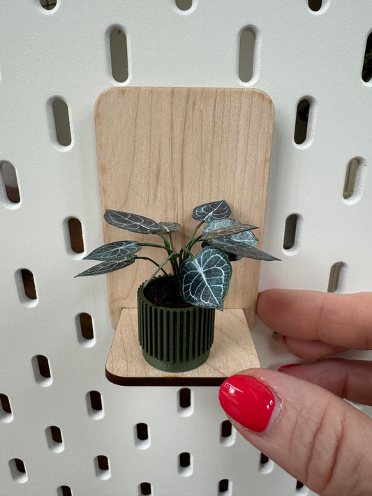 Anthurium miniature plant, 1:12 scale dollhouse botanical