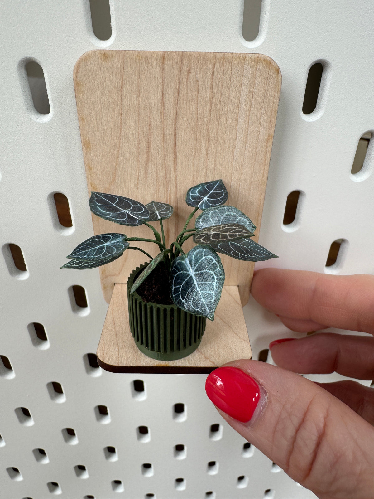 Anthurium Miniature Plant – 1:12 Scale Dollhouse Botanical