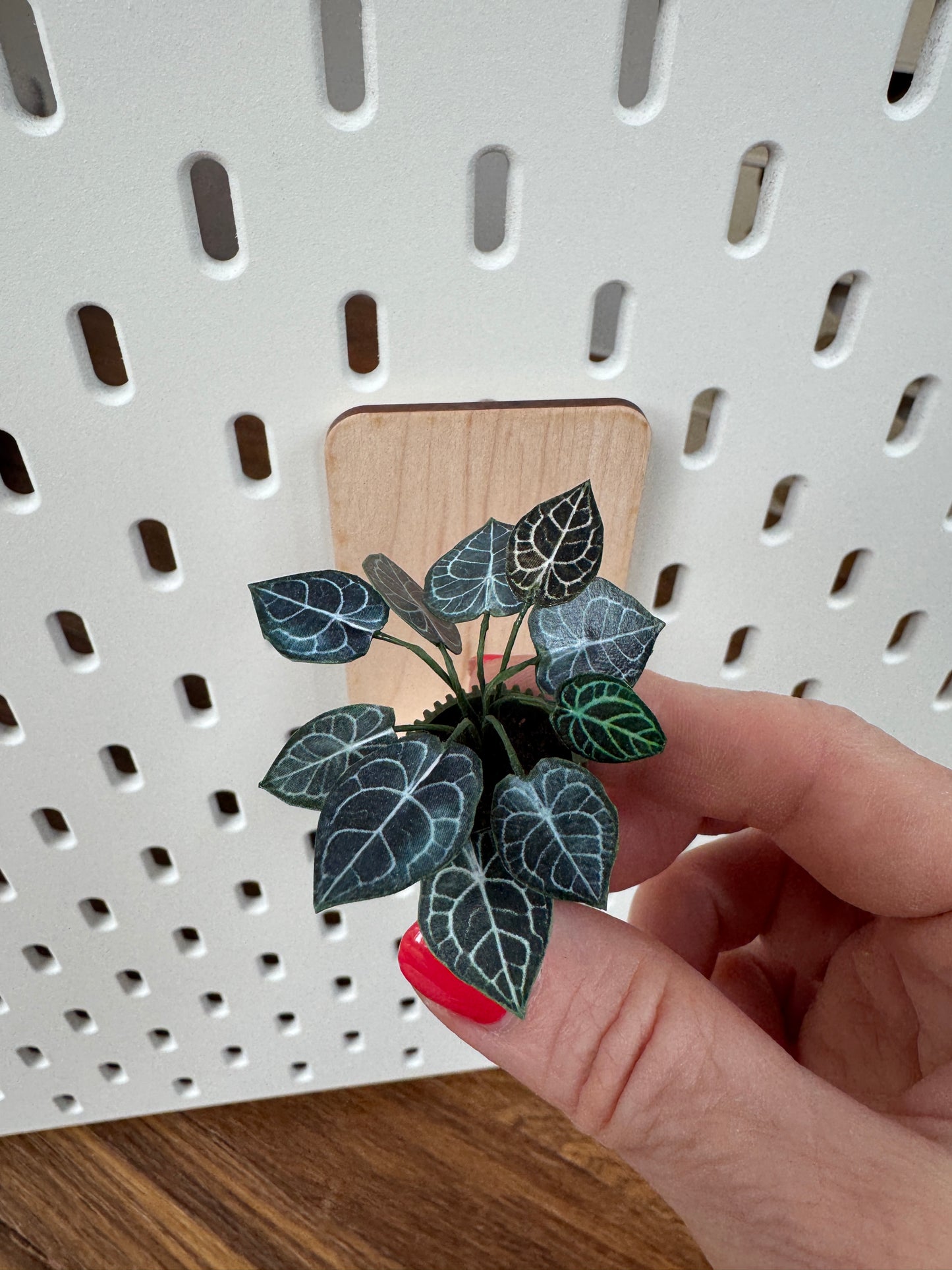 Anthurium Miniature Plant – 1:12 Scale Dollhouse Botanical