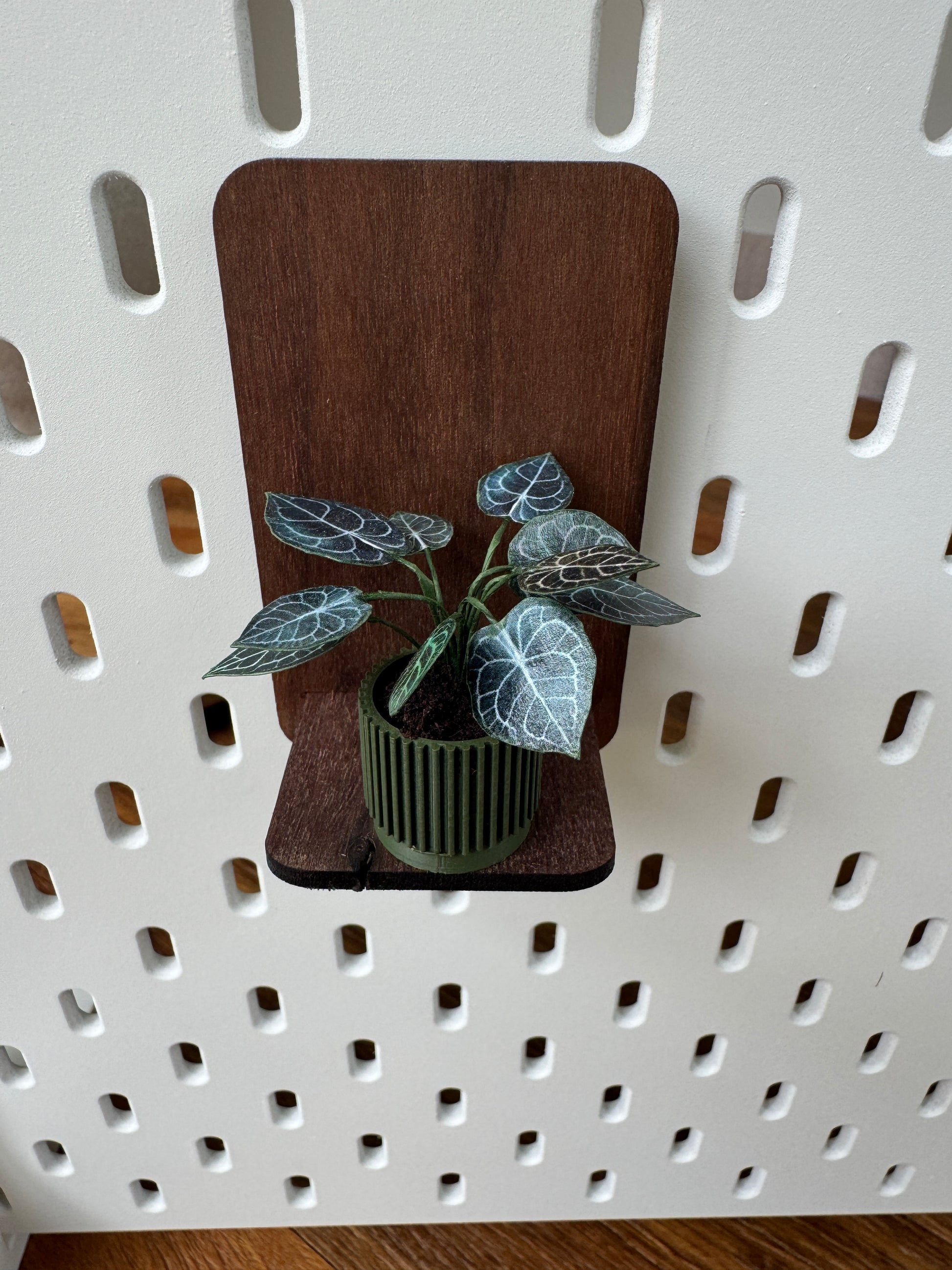 Anthurium miniature plant, close-up detail, 1:12 scale dollhouse botanical