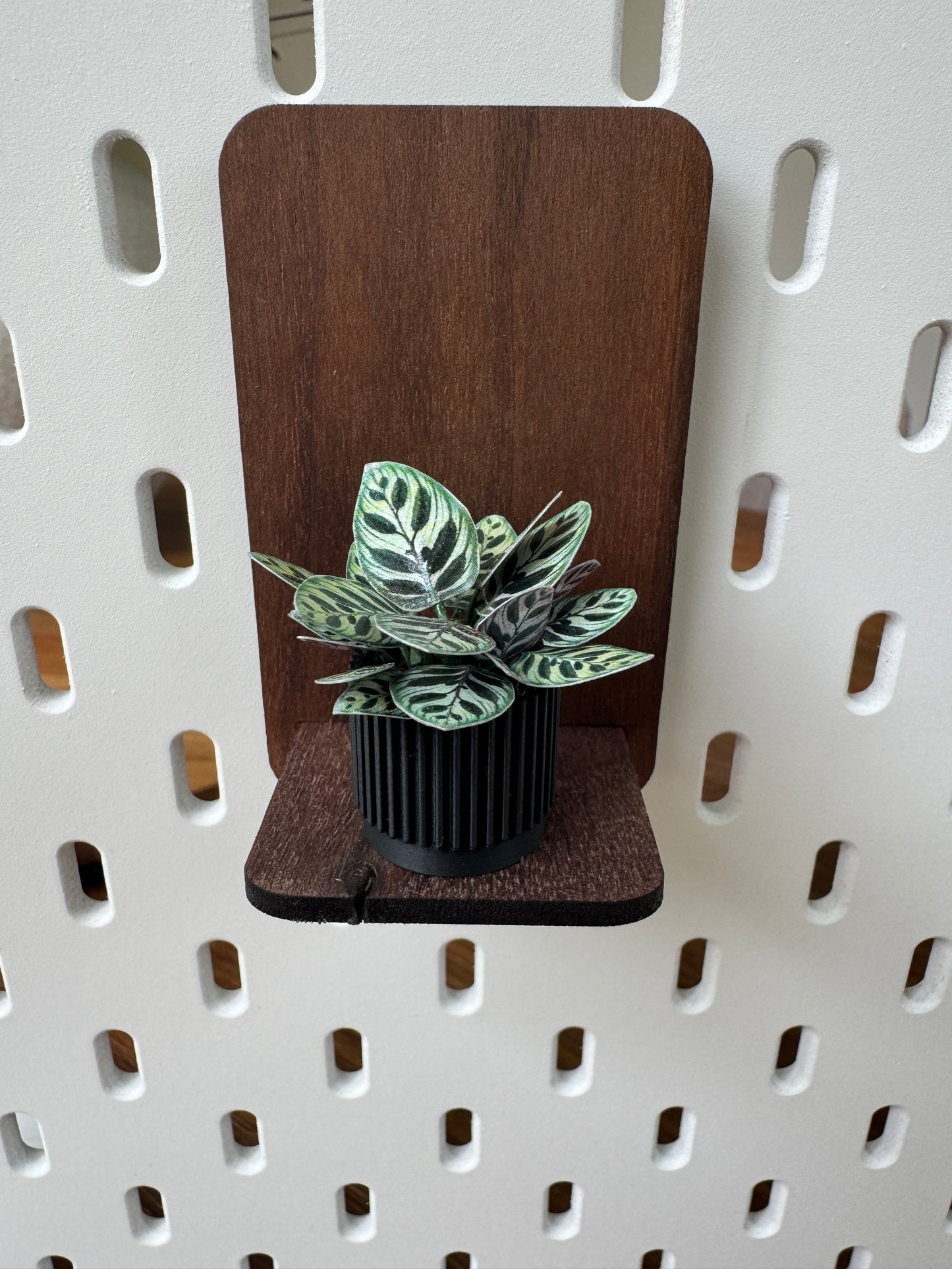 Calathea miniature plant, 1:12 scale dollhouse botanical