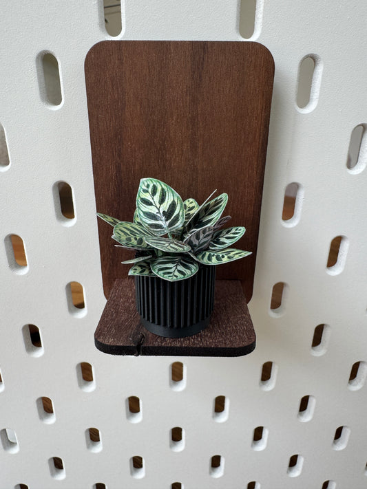 Calathea miniature plant, 1:12 scale dollhouse botanical