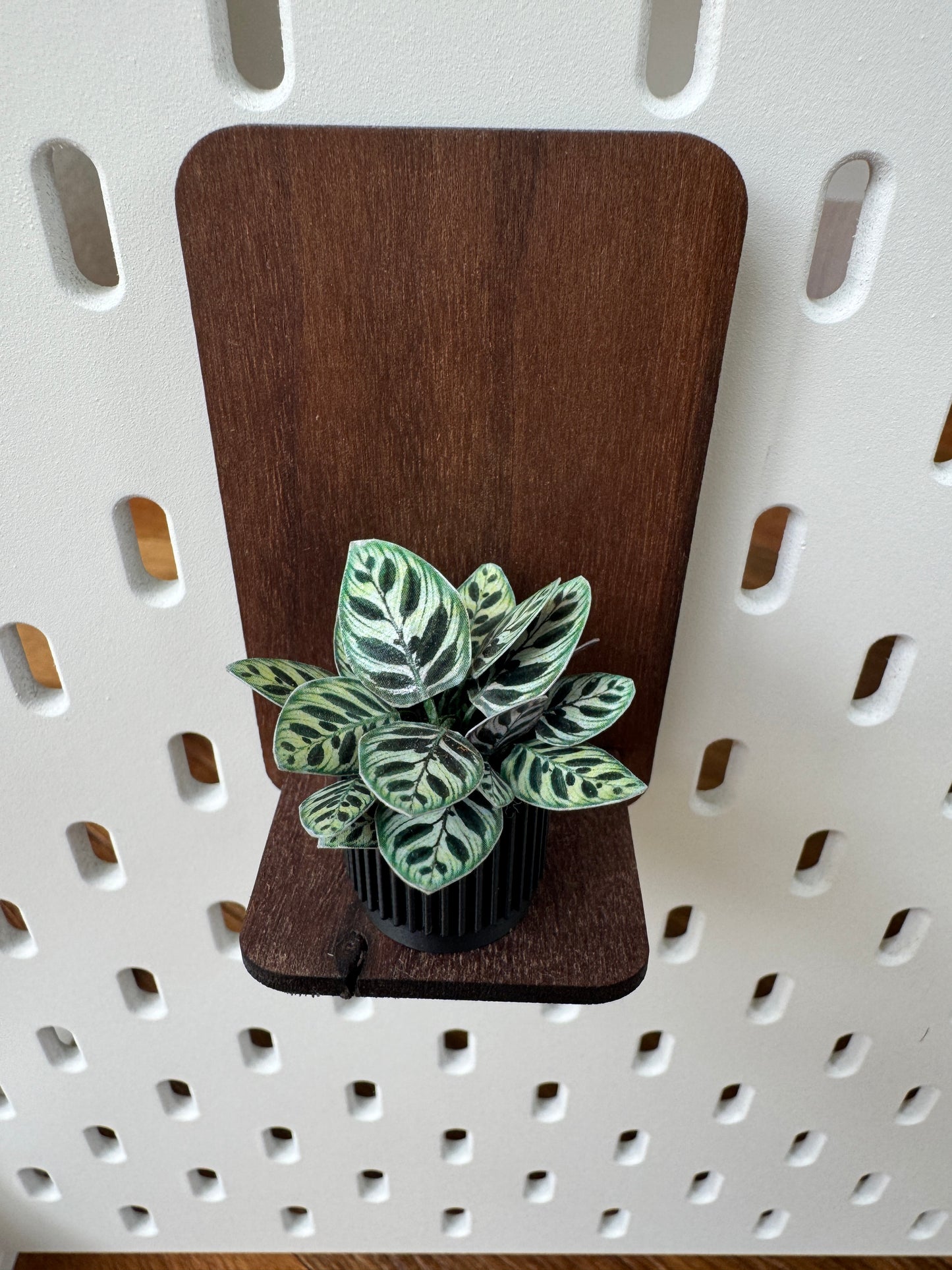 Calathea Miniature Plant – 1:12 Scale Dollhouse Botanical